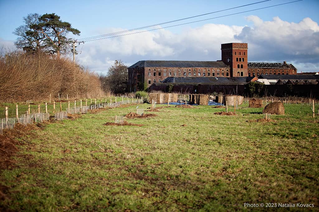 Fox's Field forest garden, with food hedge & haybales, October 2022. (c) Natalia Kovacs