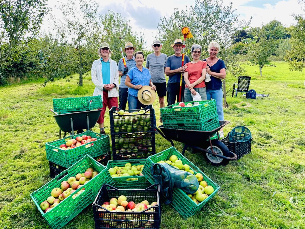 Local orchards donate apples for juicing to raise funds for Transition Town Wellington, 2023