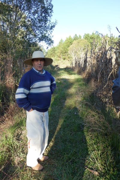 ‘My father used to say that we plant together with the forest’. Anísio Francisco da Rosa, an erveiro who cultivates erva-mate in the forests of southern Brazil, was interviewed in 2018 by Robson Laverdi, Evelyn Roberta Nimmo and Alessandra Izabel de Carvalho. Read their article in Oral History, 54.2 (2026), pp 45-56. Photo: © E R Nimmo.